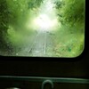 小湊鉄道　雨天走行　緑のトンネル