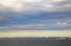 東京湾　光採集