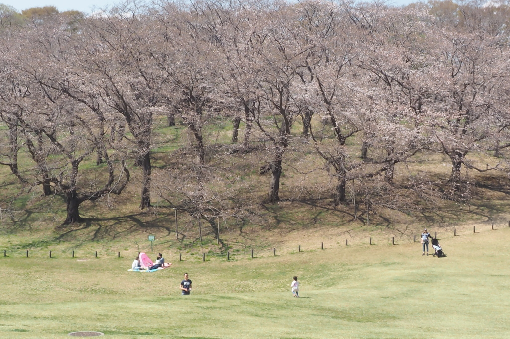 みんなの公園