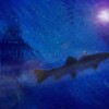 傷ついた子供の夢案内