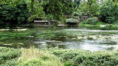 富士湧水