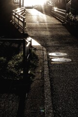 道