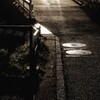 道