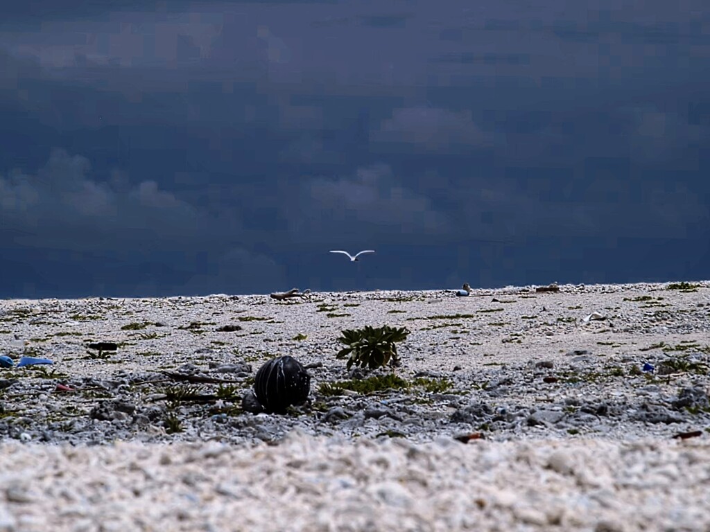 無人島散策