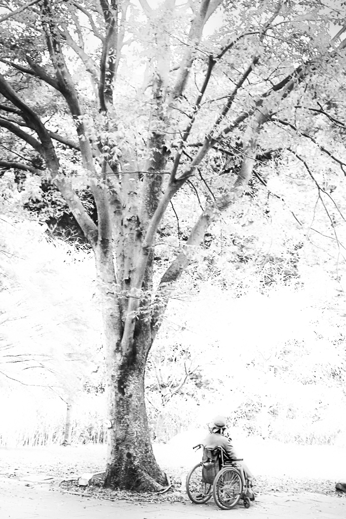 November