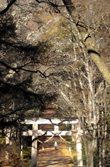 戸隠神社へ