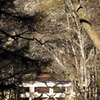 戸隠神社へ