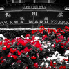 港の辺りへ