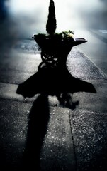 陽の光の幸せ