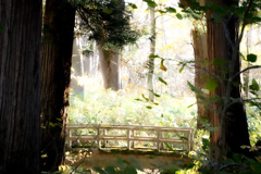 戸隠神社へ