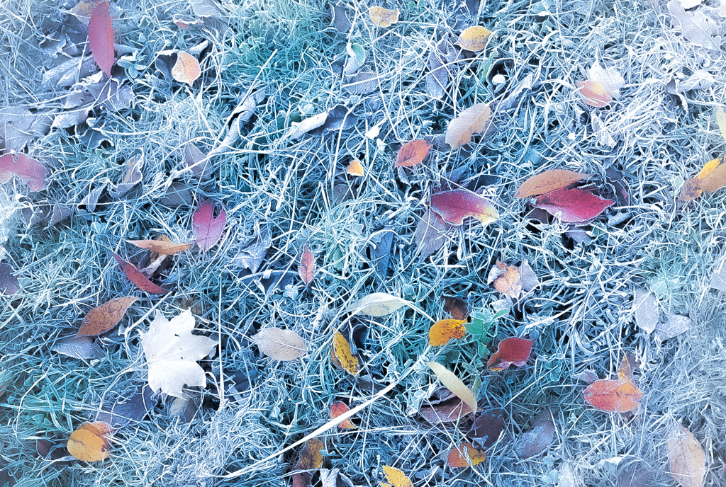 戸隠の朝