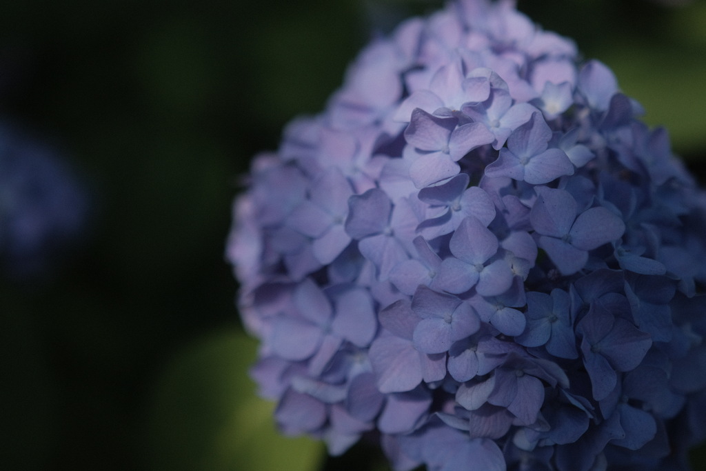 R4.06.03_神戸市内③