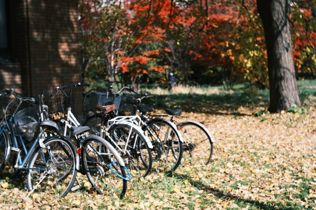 R5.10.29_北海道大学⑦
