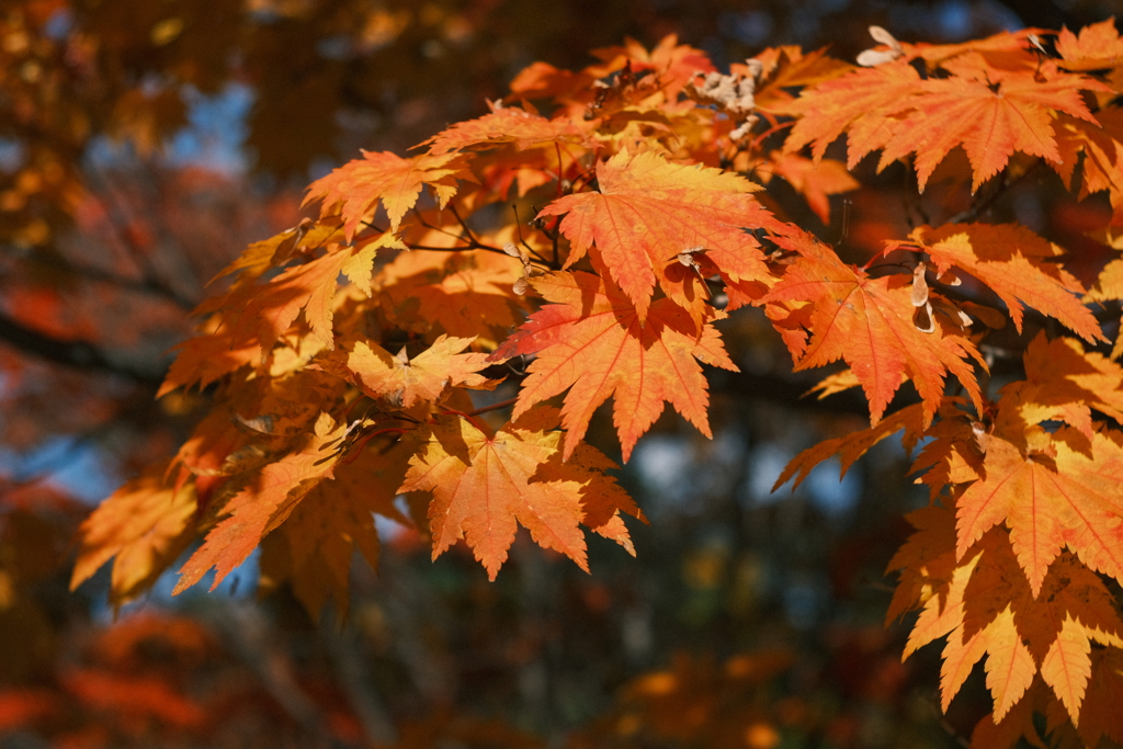 R5.10.29_北海道大学⑤