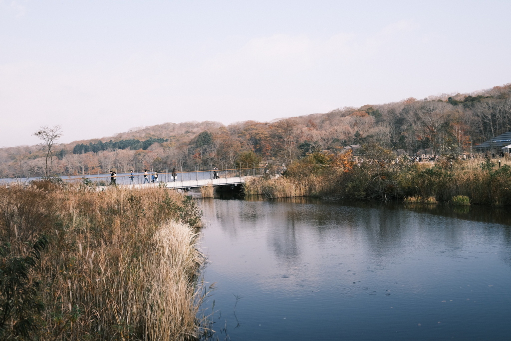 R5.11.03_ウポポイ②