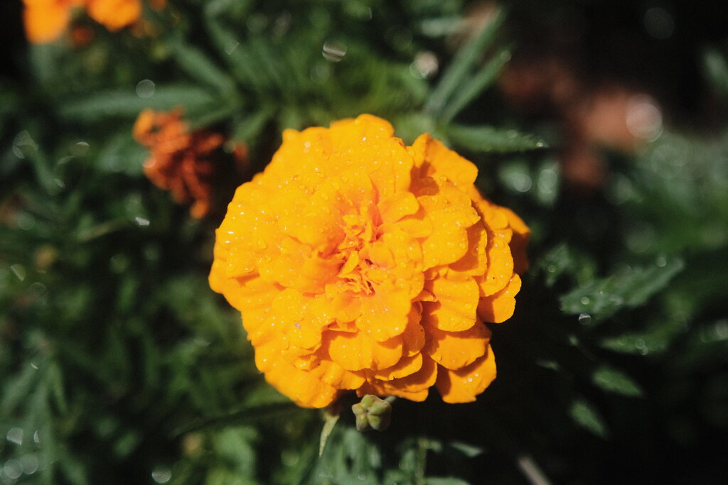 R4.06.03_神戸市内⑥