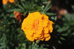 R4.06.03_神戸市内⑥