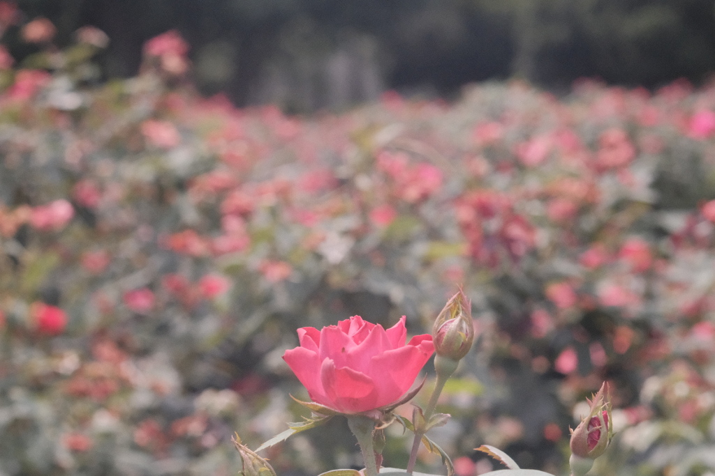 R4.08.24_東京出張②