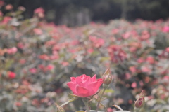 R4.08.24_東京出張②