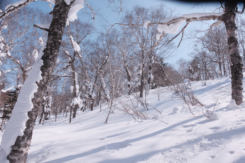 R4.03.13_夫婦登山_札幌岳④