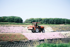 R7.05.04_実家帰省 in稲美町⑦