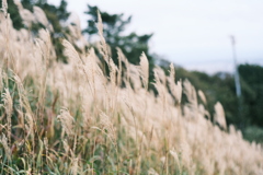 R5.09.30_夫婦登山_藻岩山⑨