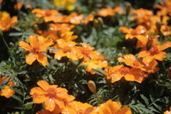 R4.06.03_神戸市内④