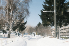 R5.02.27_昼休み散歩①