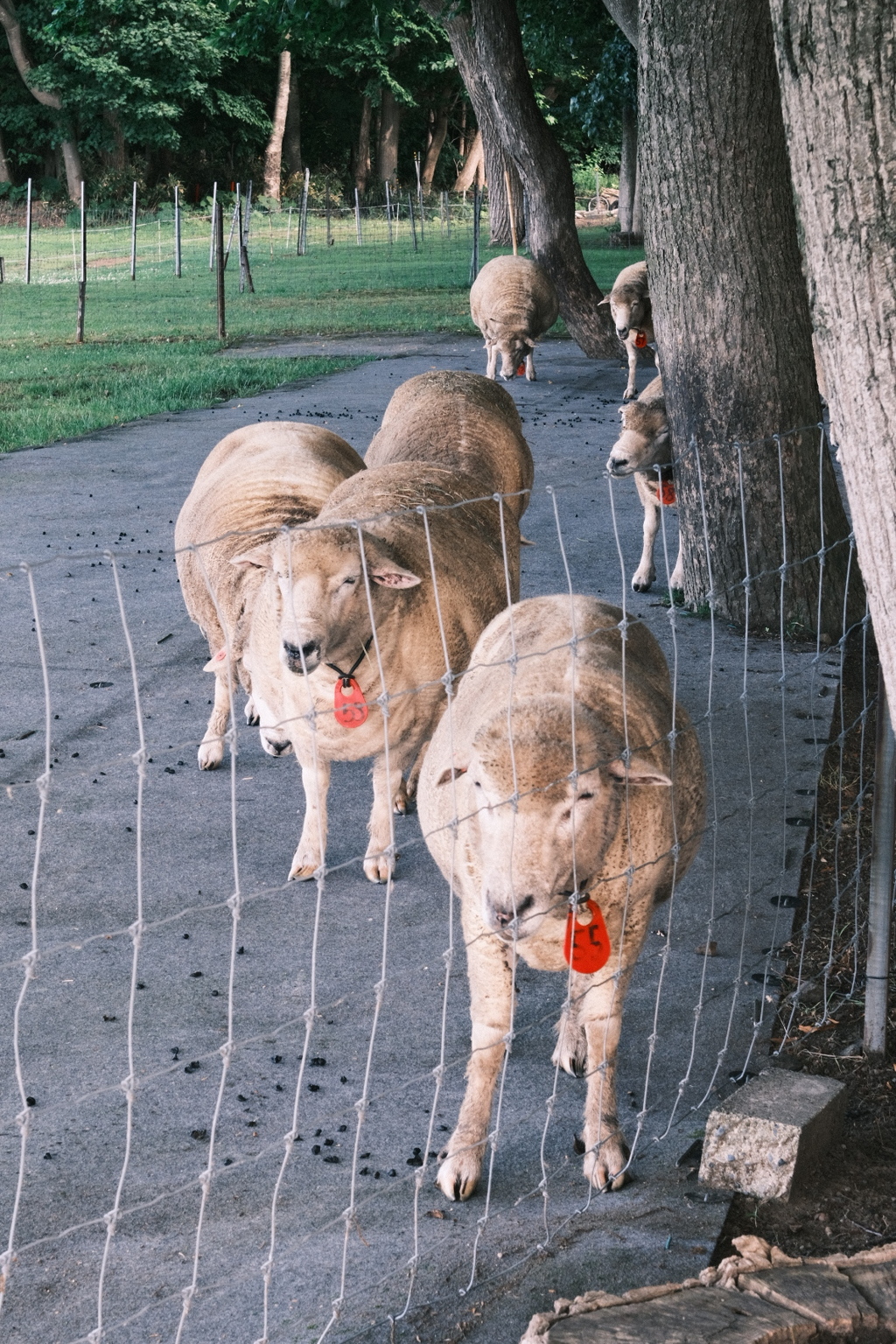 R5.07.04_両親北海道旅行③