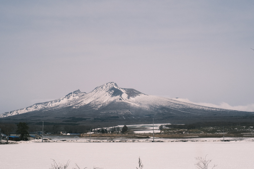 R5.03.12_函館日帰り一人旅②