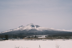 R5.03.12_函館日帰り一人旅②