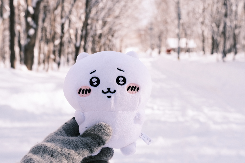 R6.02.10_夫婦登山_八剣山②