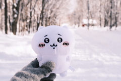 R6.02.10_夫婦登山_八剣山②