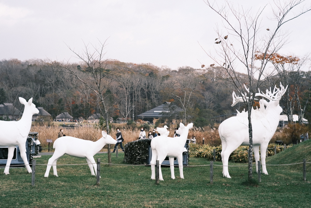 R5.11.03_ウポポイ⑨