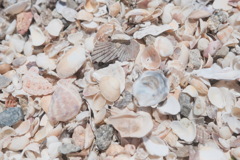 R4.06.07_須磨の海⑤