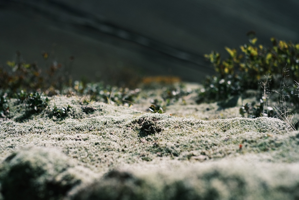 R5.09.24_夫婦登山_樽前山④