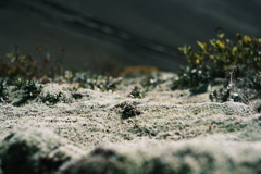 R5.09.24_夫婦登山_樽前山④