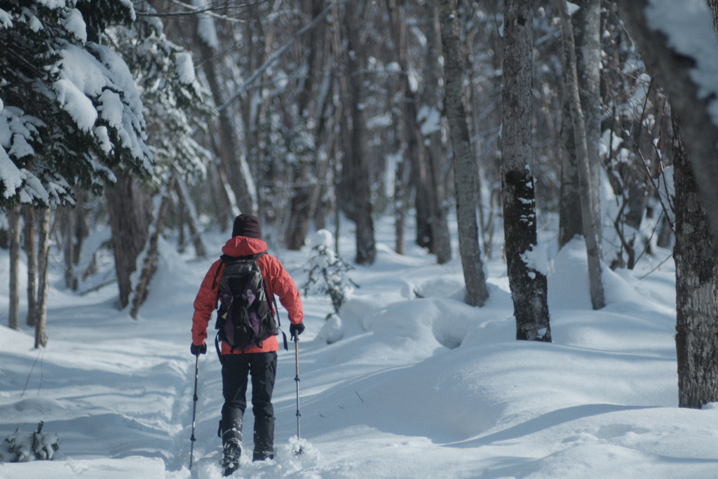 R5.01.22_夫婦散歩_野幌森林公園②