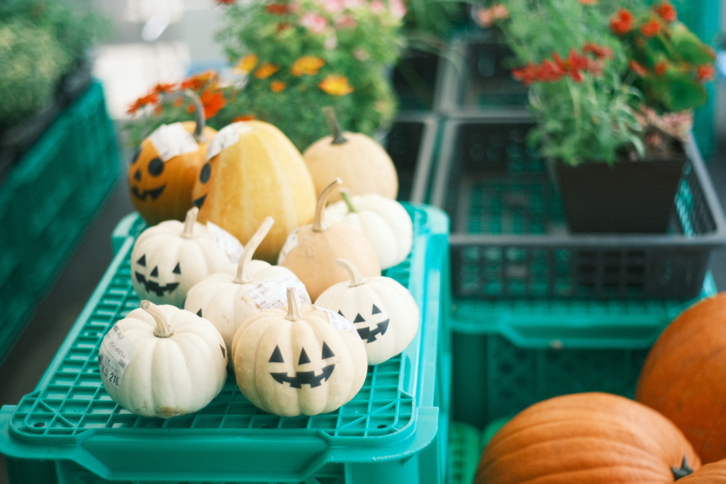 R5.09.17_千歳サーモンパーク⑥