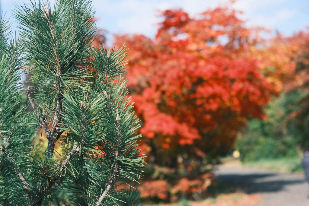 R5.10.29_北海道大学⑥