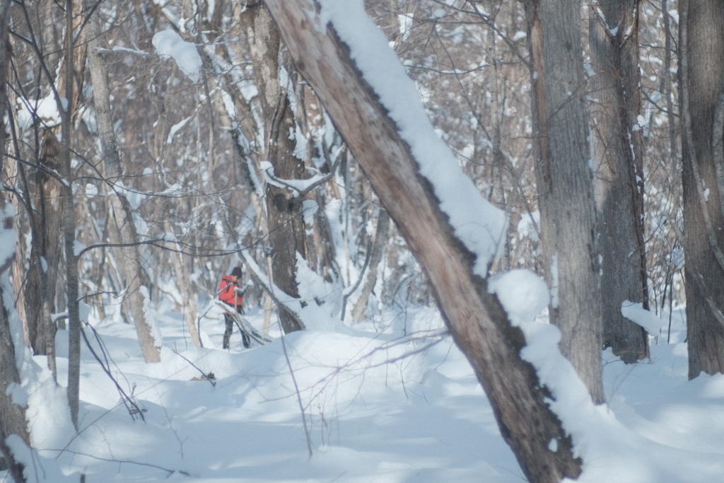 R5.01.22_夫婦散歩_野幌森林公園①