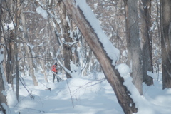 R5.01.22_夫婦散歩_野幌森林公園①