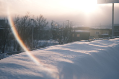 R5.02.22_夕方散歩⑤