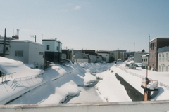 R5.02.27_昼休み散歩②