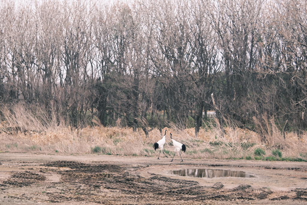 R5.05.04_夫婦旅行_網走知床⑳