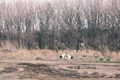 R5.05.04_夫婦旅行_網走知床⑳