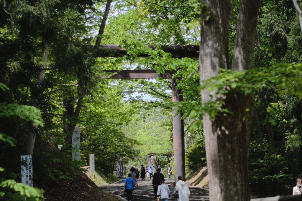 R4.05.15_北海道神宮