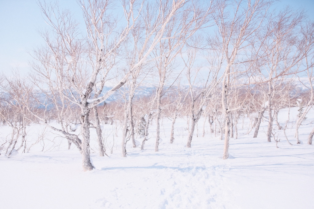 R4.03.13_夫婦登山_札幌岳⑨