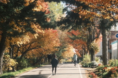 R7.11.03_紅葉散歩⑤