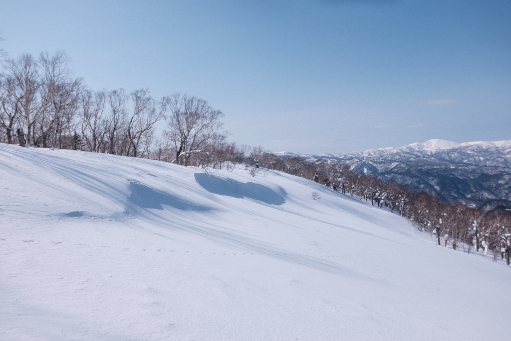 R4.03.13_夫婦登山_札幌岳⑩